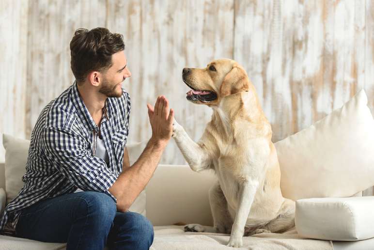 Types of Dog Sitting Services