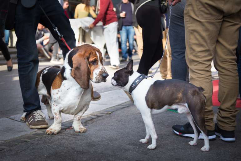 What Is the Three Second Rule?