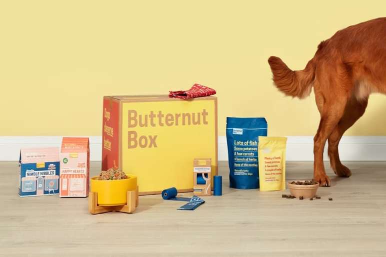 What Is Butternut Box?