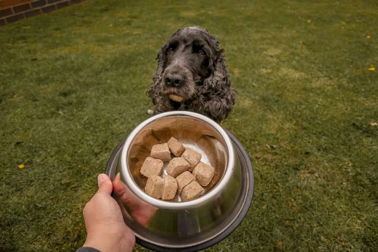 What is a Puppy Raw Food Calculator?