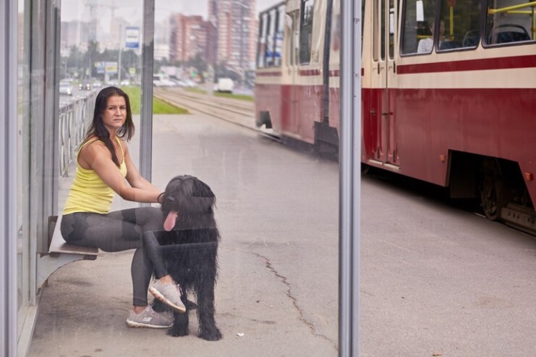 Are Specific Breeds of Dogs Allowed on Trains?