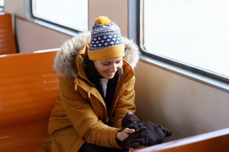 Additional Tips for Traveling with Dogs on Trains