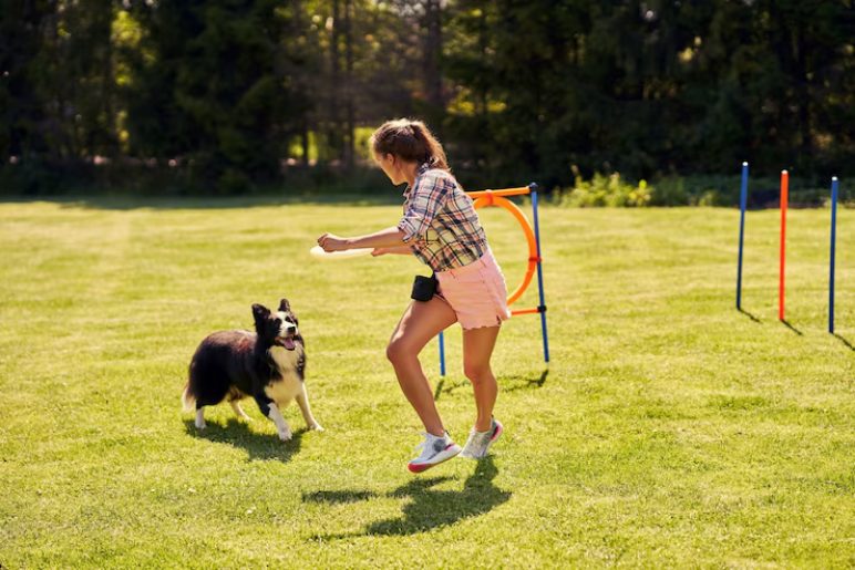 Common Dog Training Issues We Address in Walton