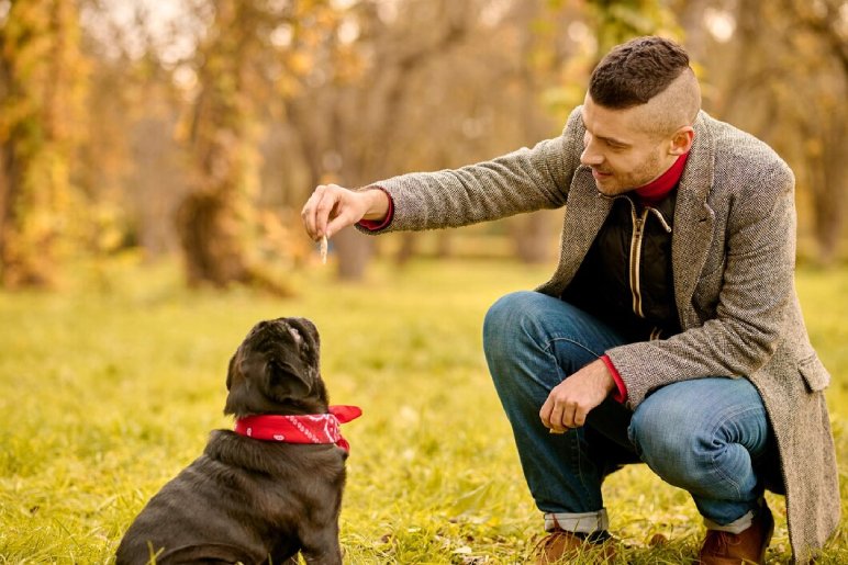 Breed-Specific Training Approach