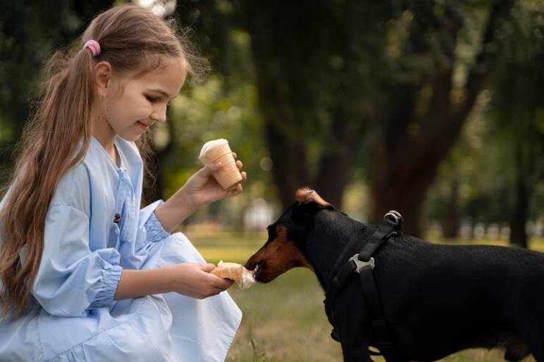 Why Make Dog Ice Cream?