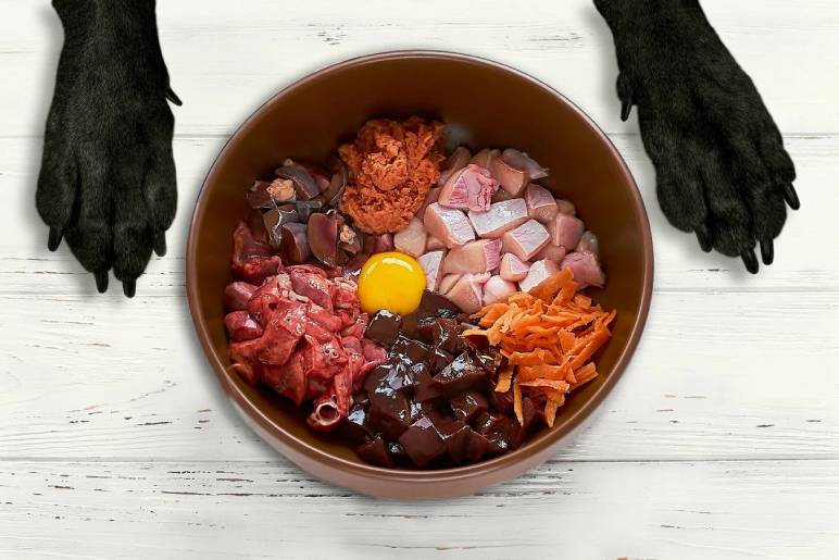 What is Raw Dog Food?