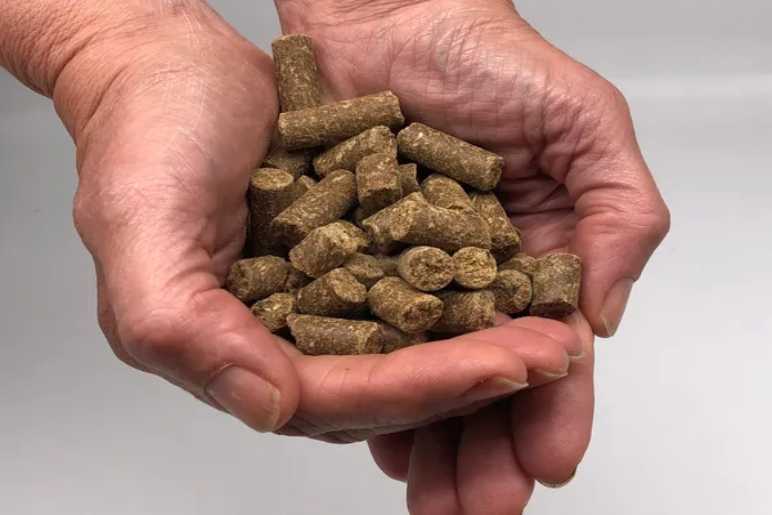 Benefits of Cold Pressed Dog Food